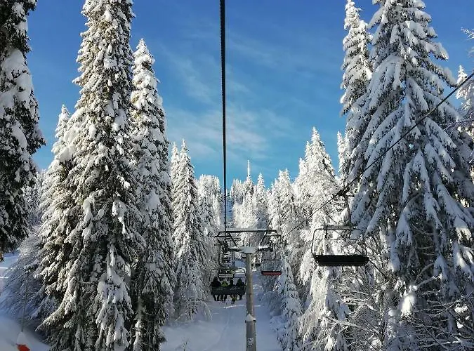 Grand Monastery - Rossa *